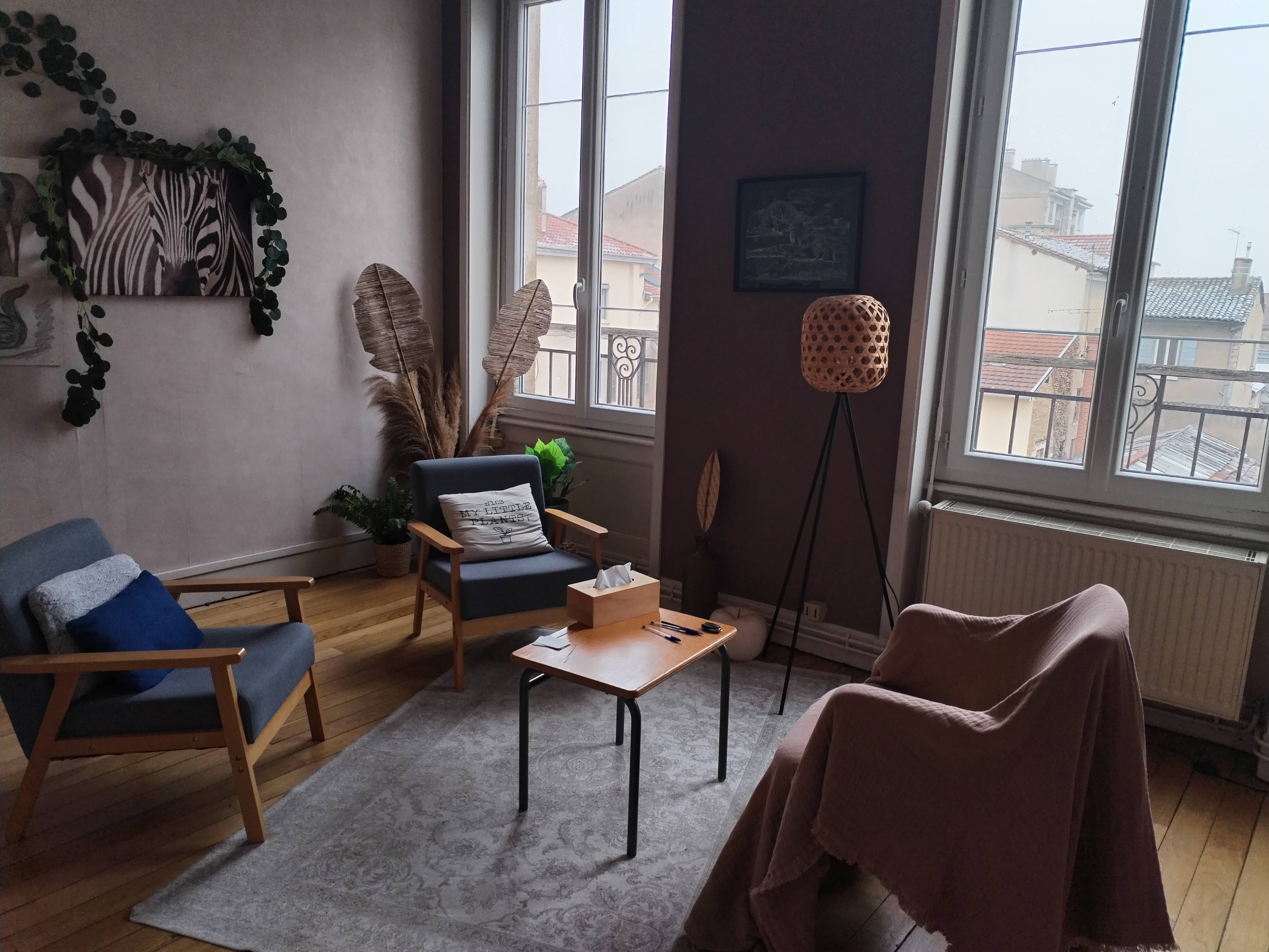 Cabinet Cabinet de thérapie  à Villefranche-sur-Saône - Photo principale