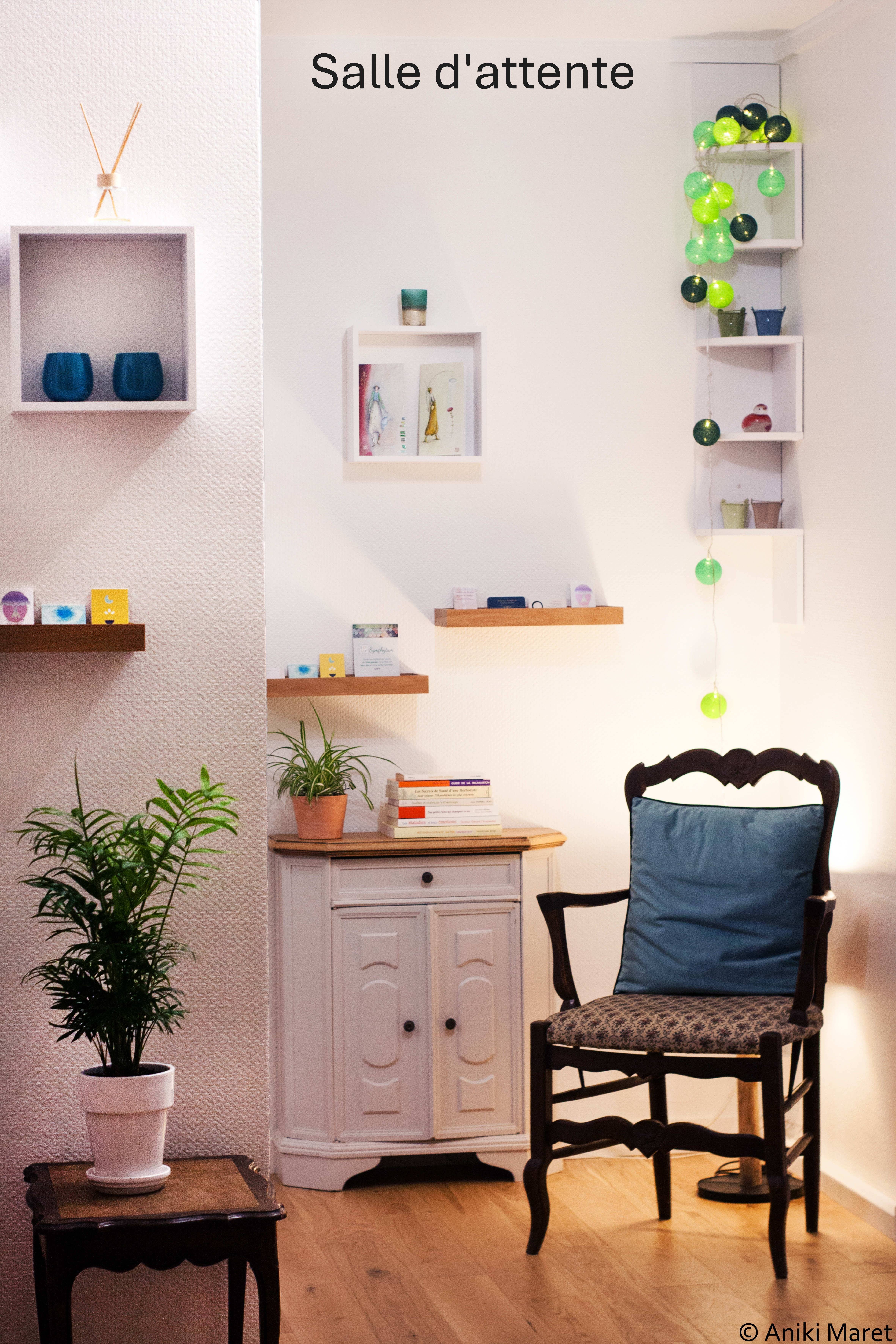 Cabinet Espace Symphytum à Lyon - Photo principale