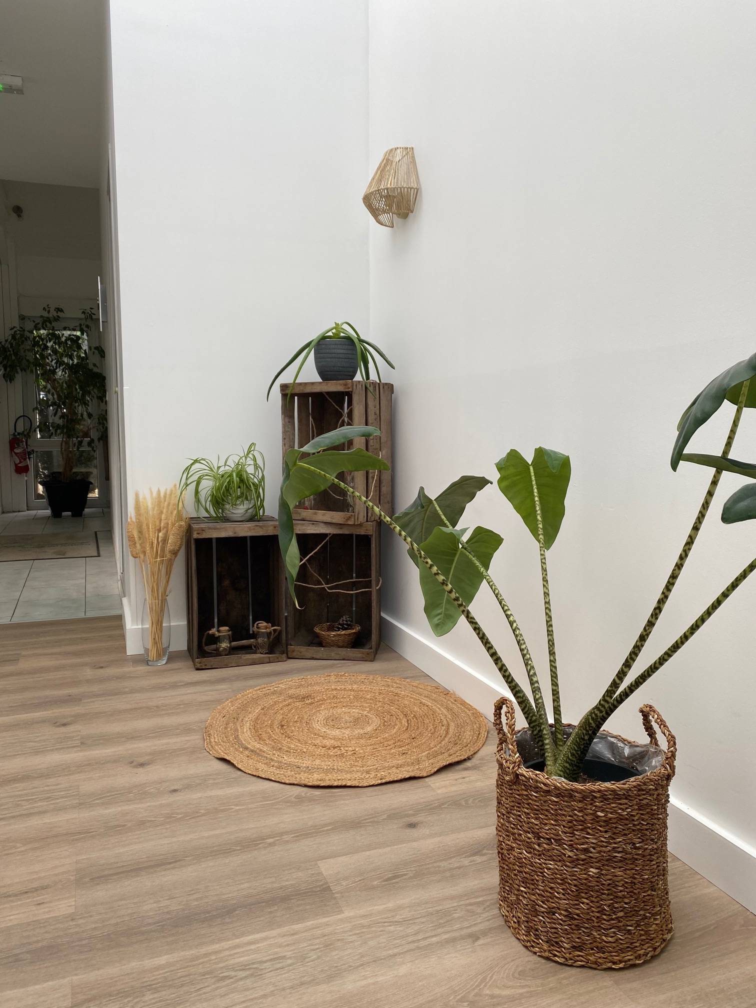 Cabinet Centre des Pierres Plates  - Photo 3