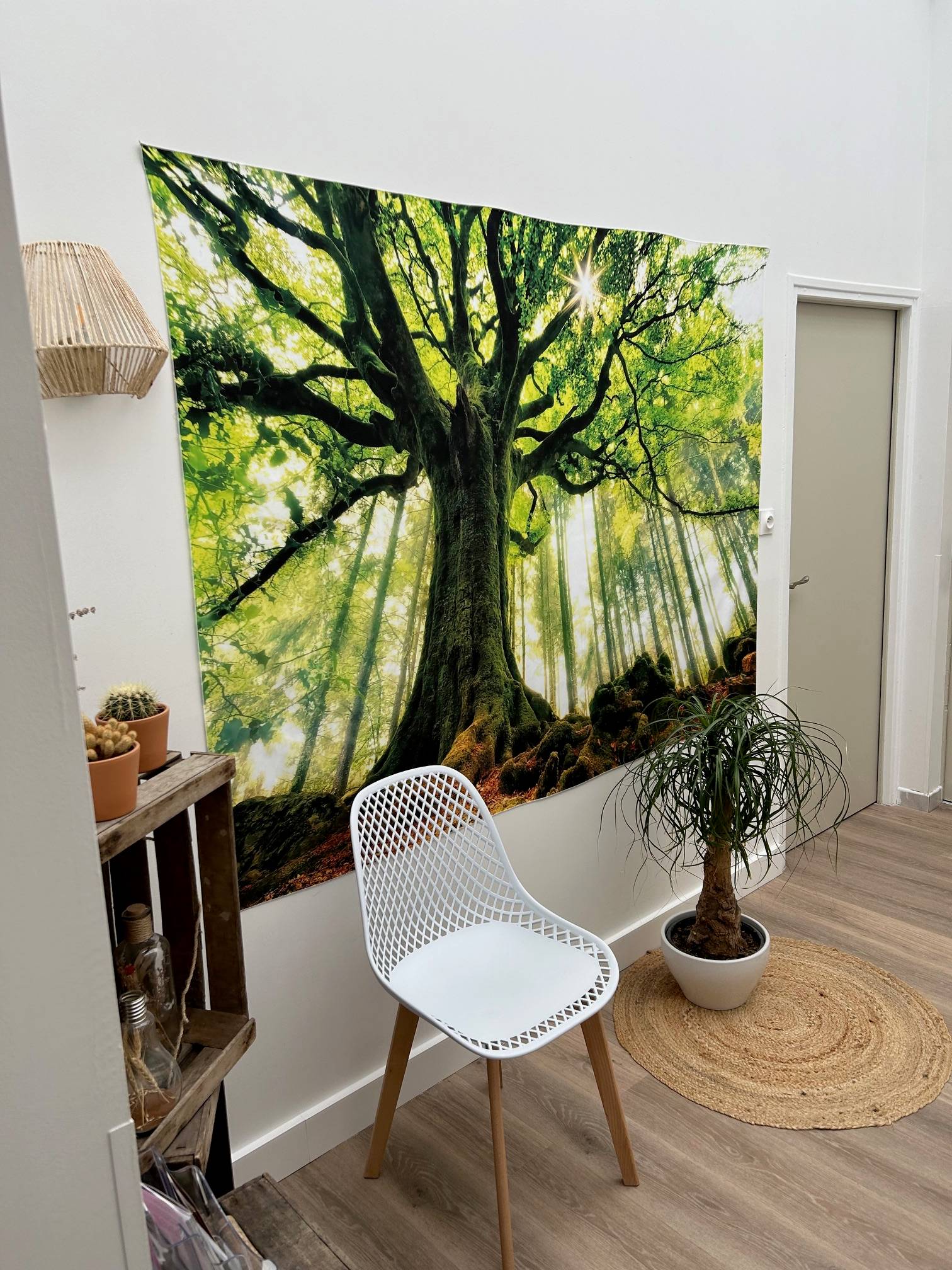 Cabinet Centre des Pierres Plates  à Saint-Avertin - Photo principale