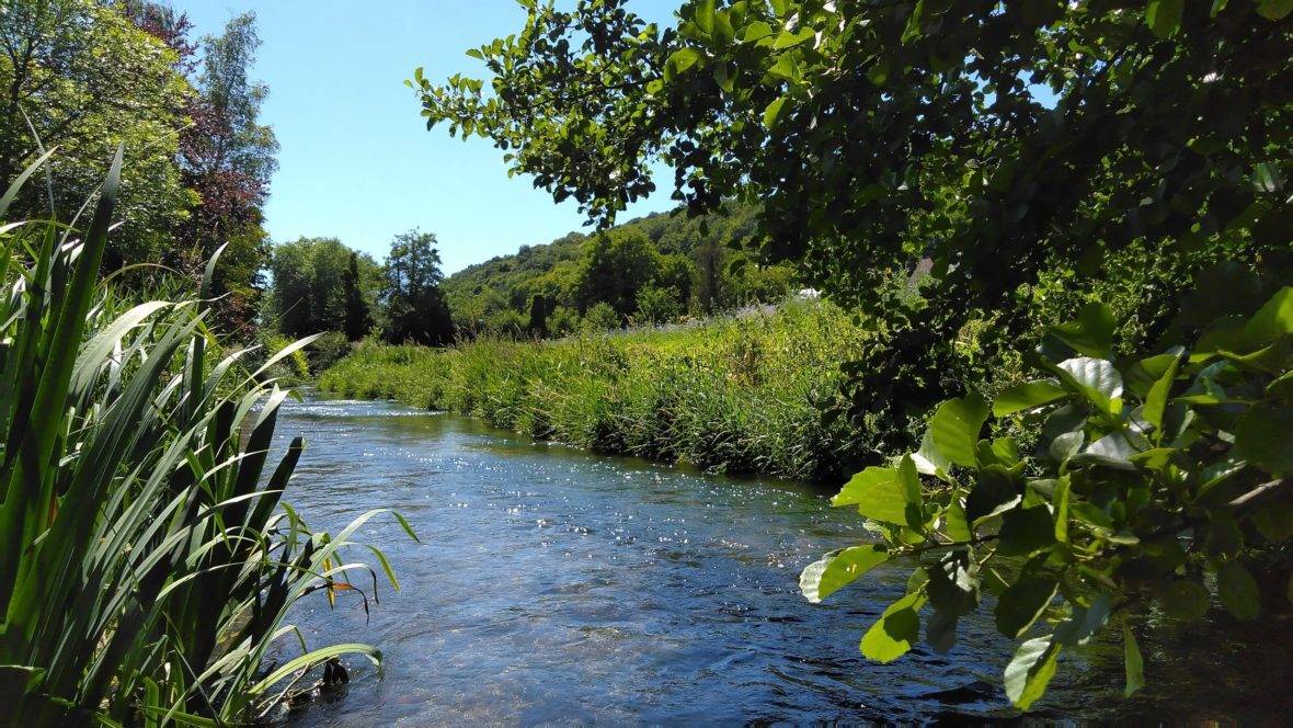 Cabinet Cabinet médical, paramédical et médecines douces - Photo 2