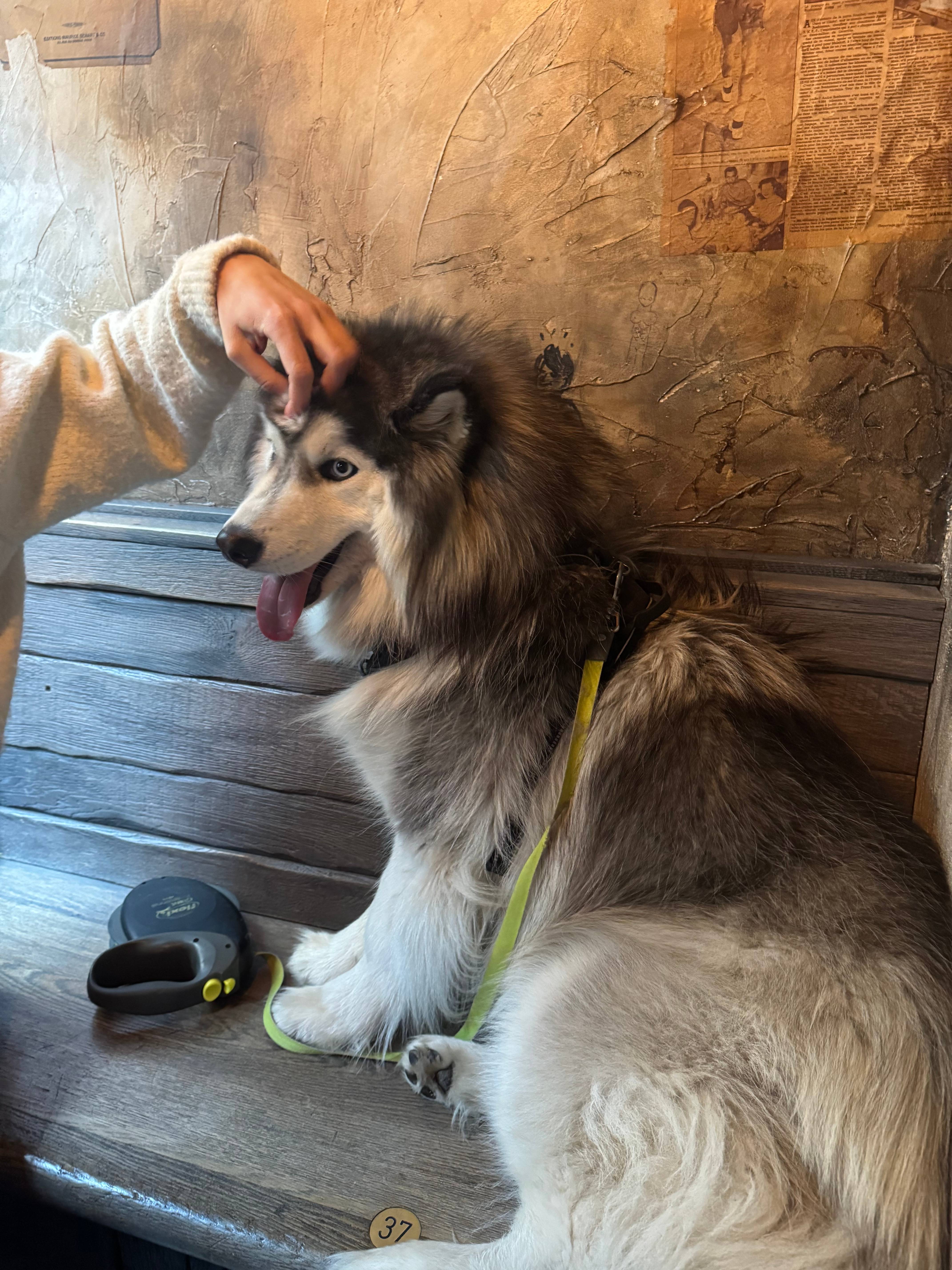 Cabinet Centre de Propriétaire xxxx à Mazerolles - Photo principale