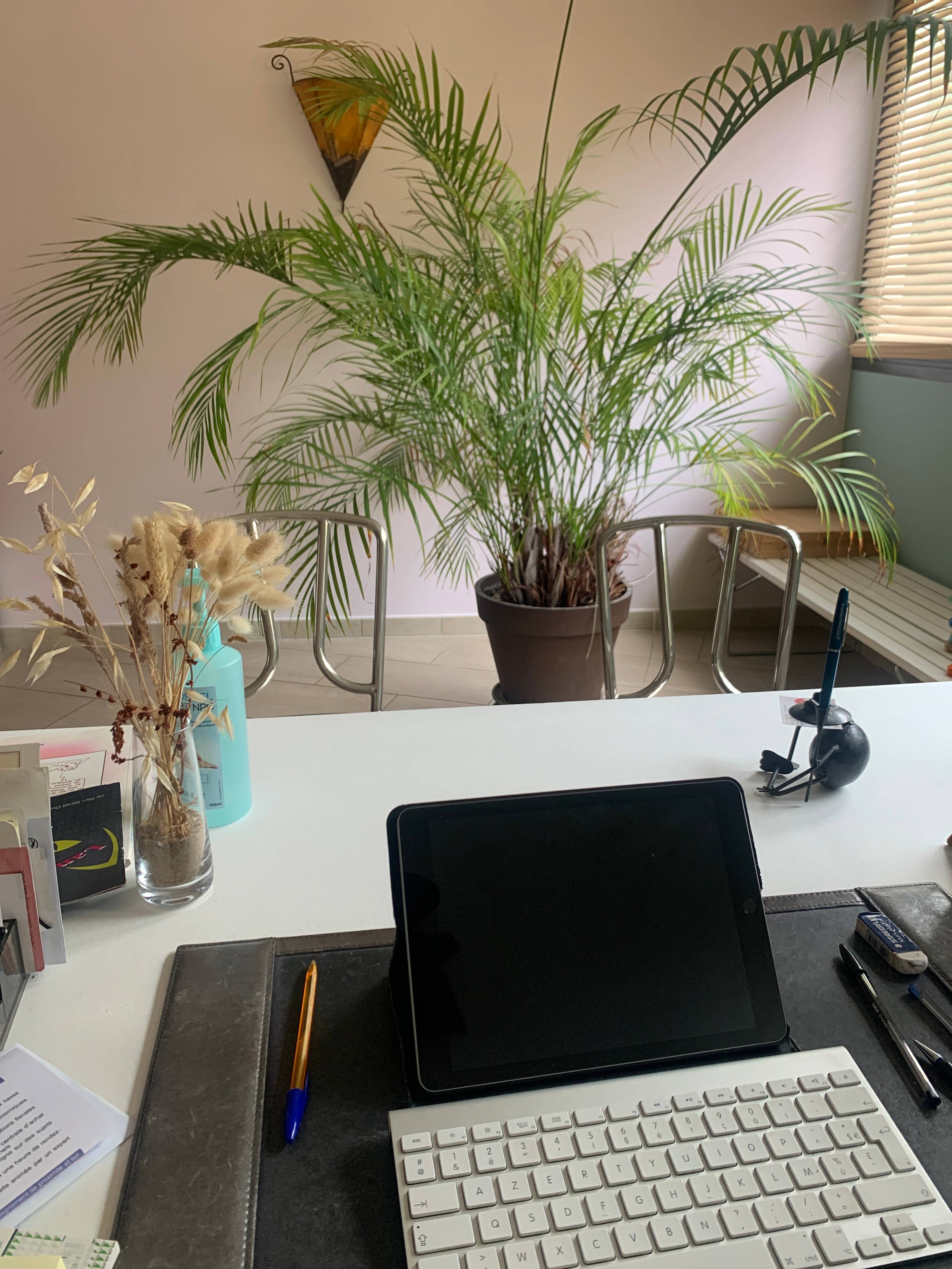 Cabinet Cabinet de Frederique à Saint-Gély-du-Fesc - Photo principale