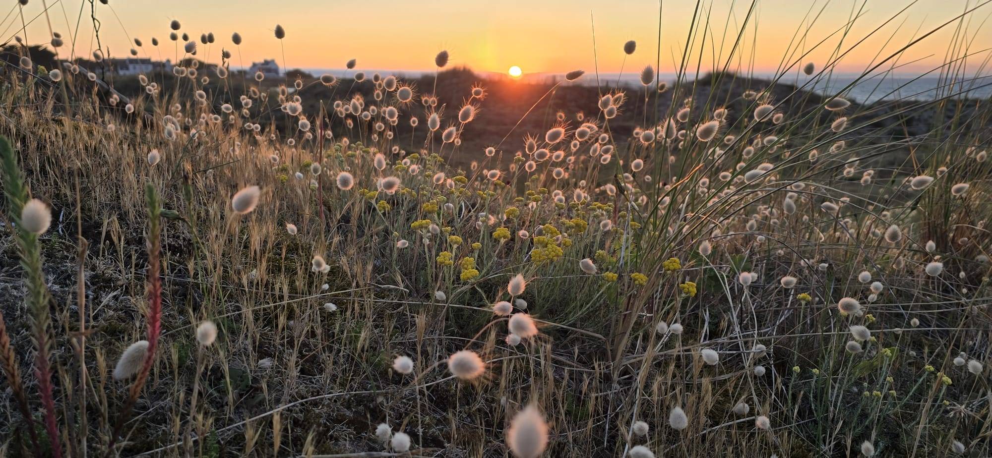 Cabinet Cabinet Saintonge  à Paris - Photo principale