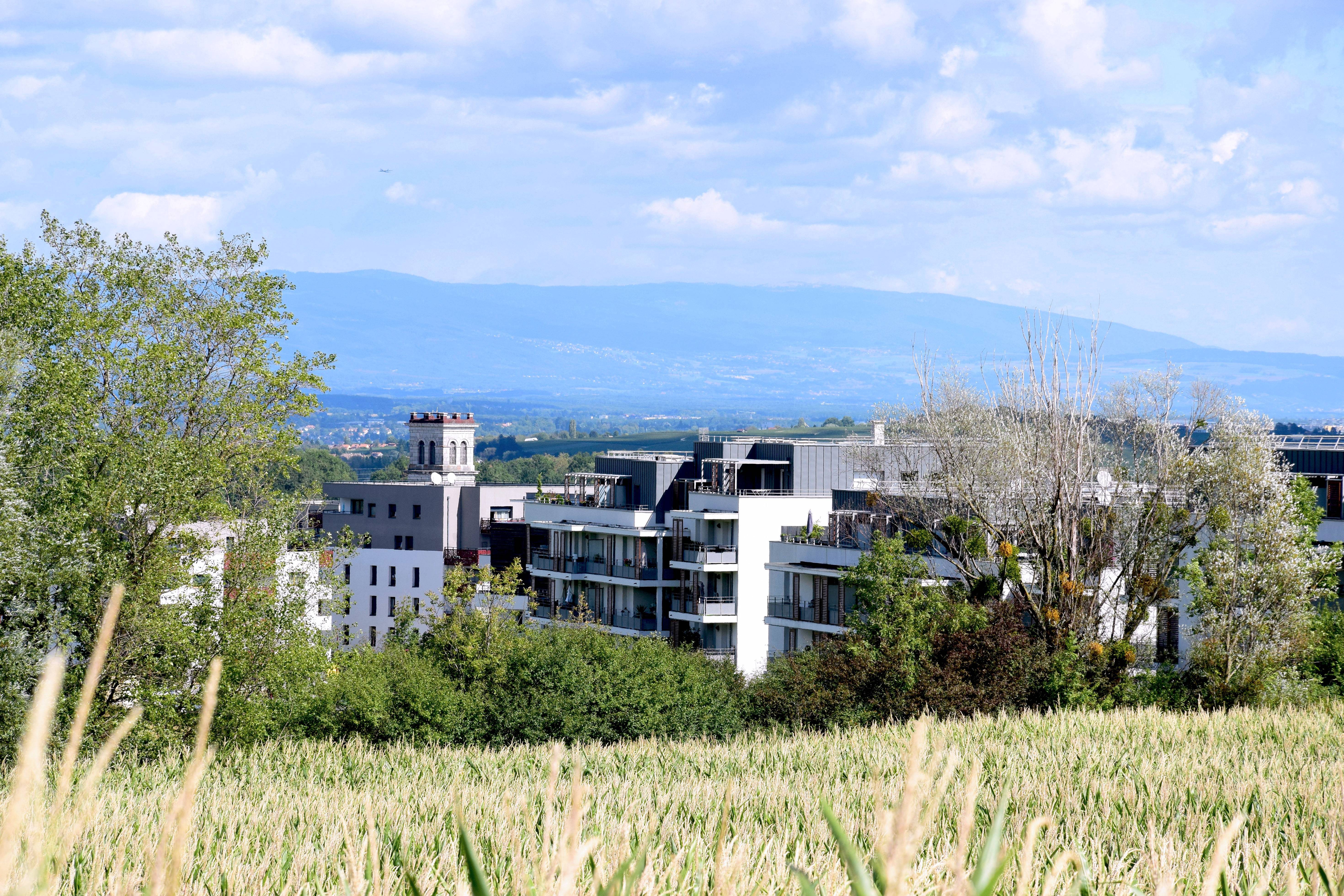 Centre Municipal de santé de Viry - 3 cabinets médicaux #2