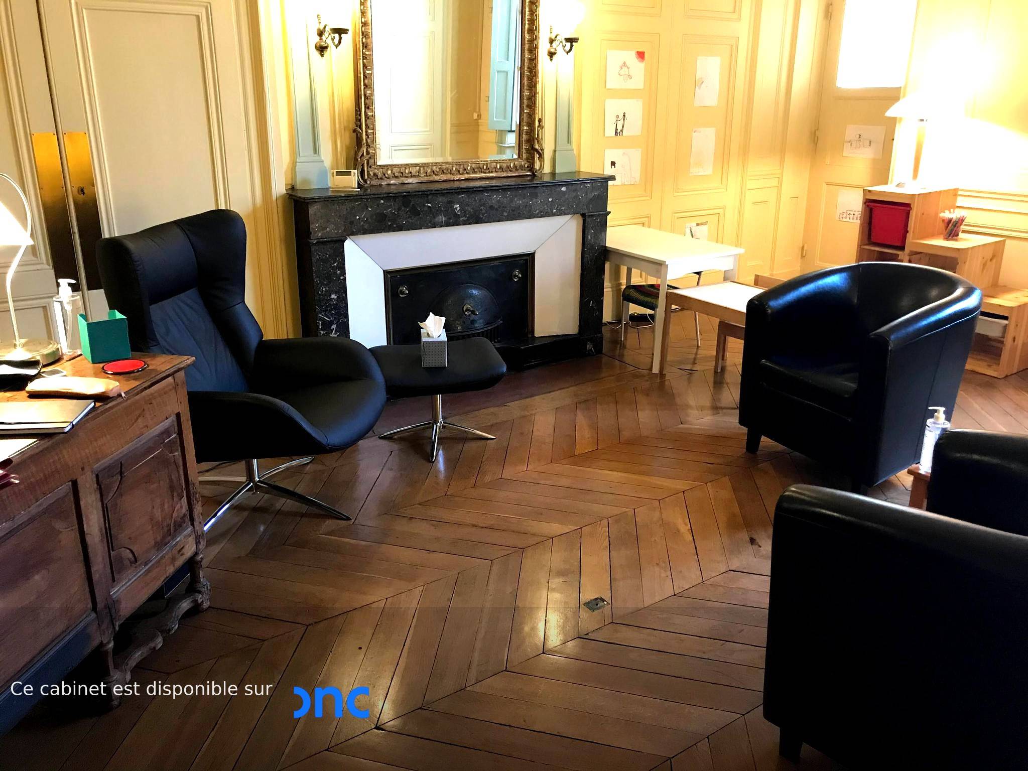 Cabinet Cabinet de Antoine à Lyon - Photo 1