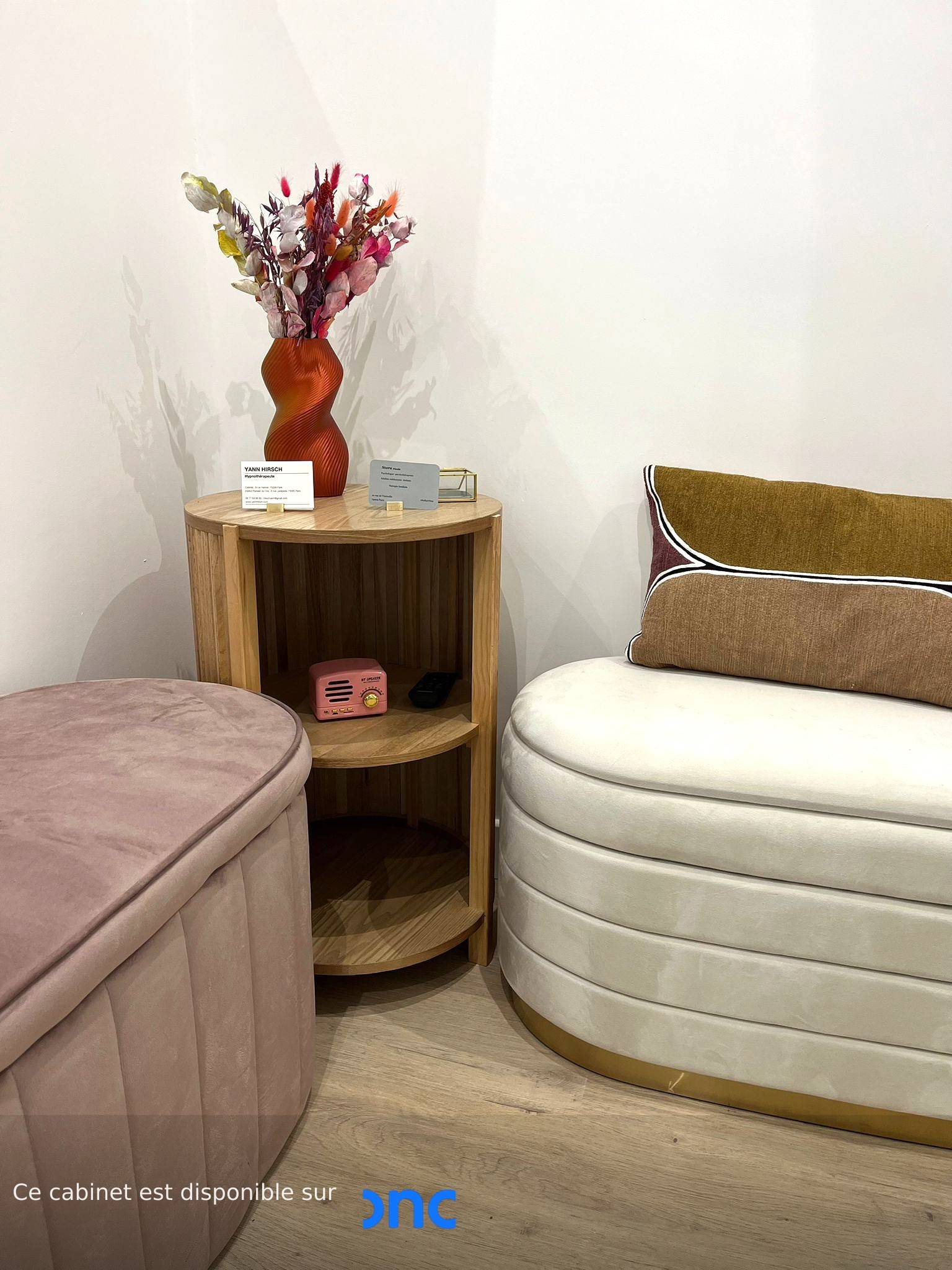 Cabinet Cabinet de eugenie à Paris - Photo 2