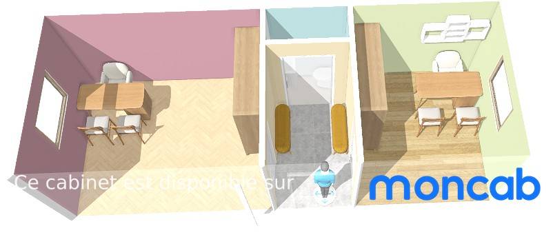 Cabinet Cabinet de Anouck à Paris - Photo principale