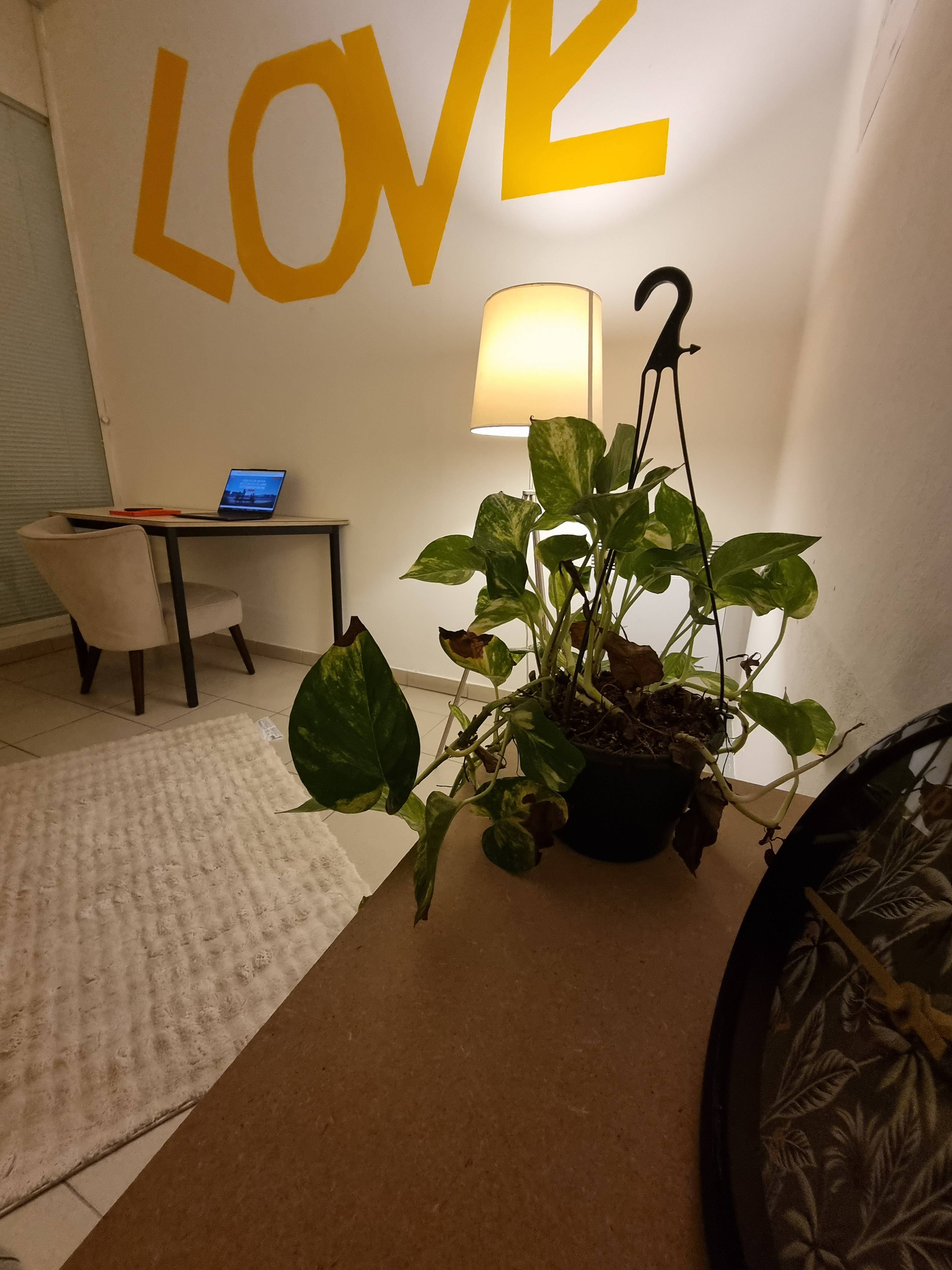 Cabinet Massinot à Marseille - Photo 4