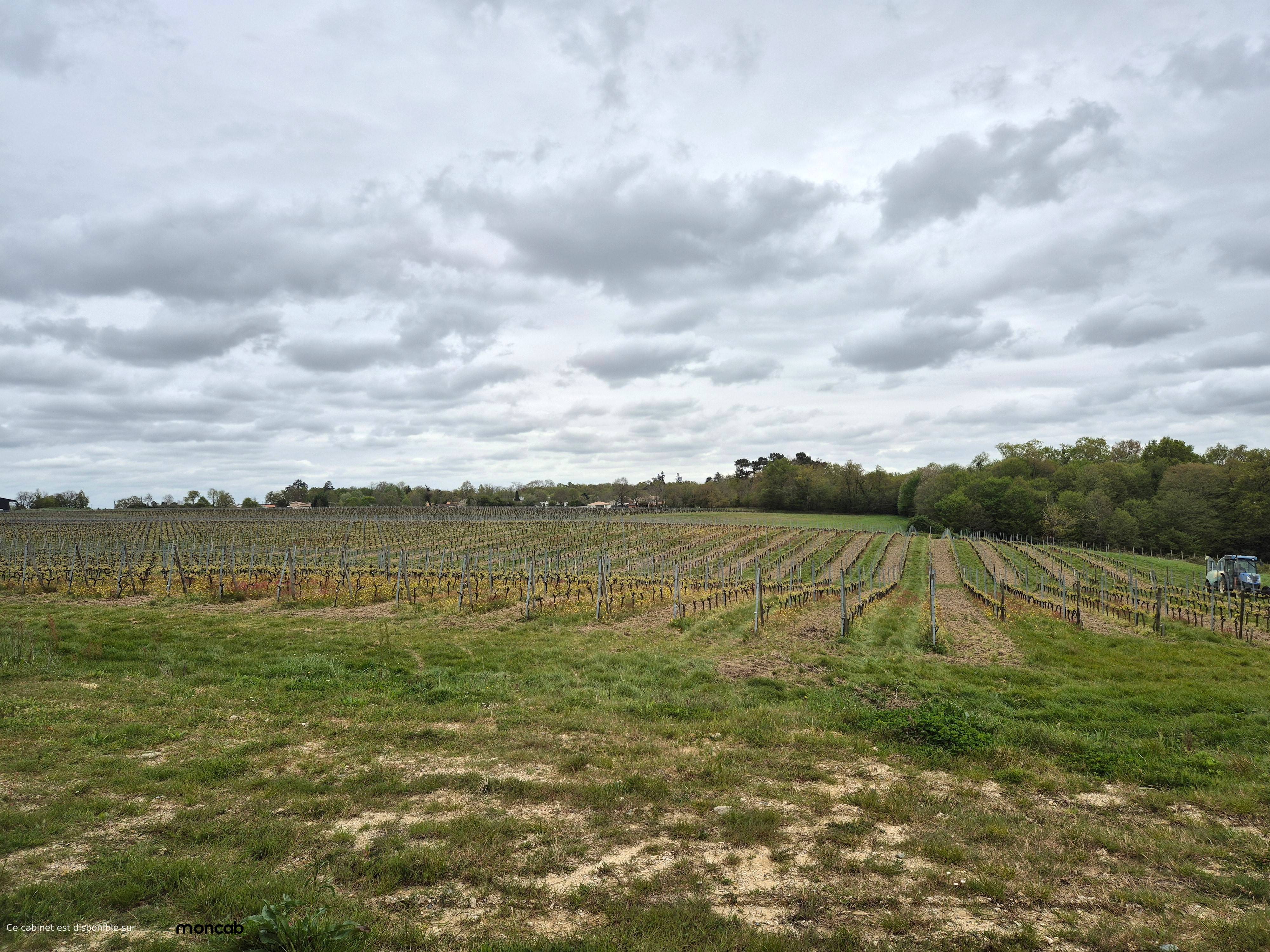 Cabinet Cabinet de Arsène  à Loupes - Photo principale