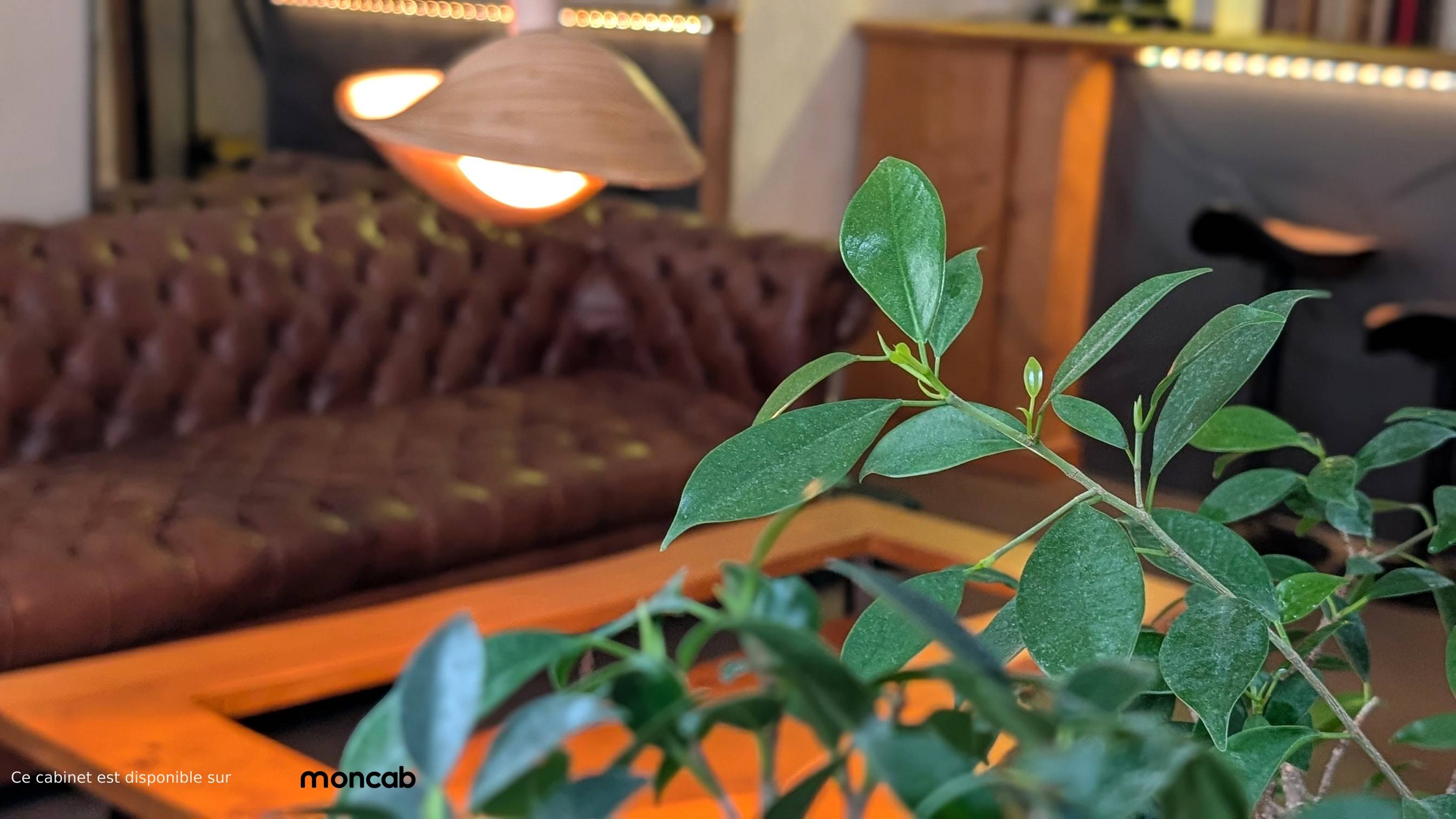 Cabinet Centre Paris 8 - Ciel étoilé à Paris - Photo principale