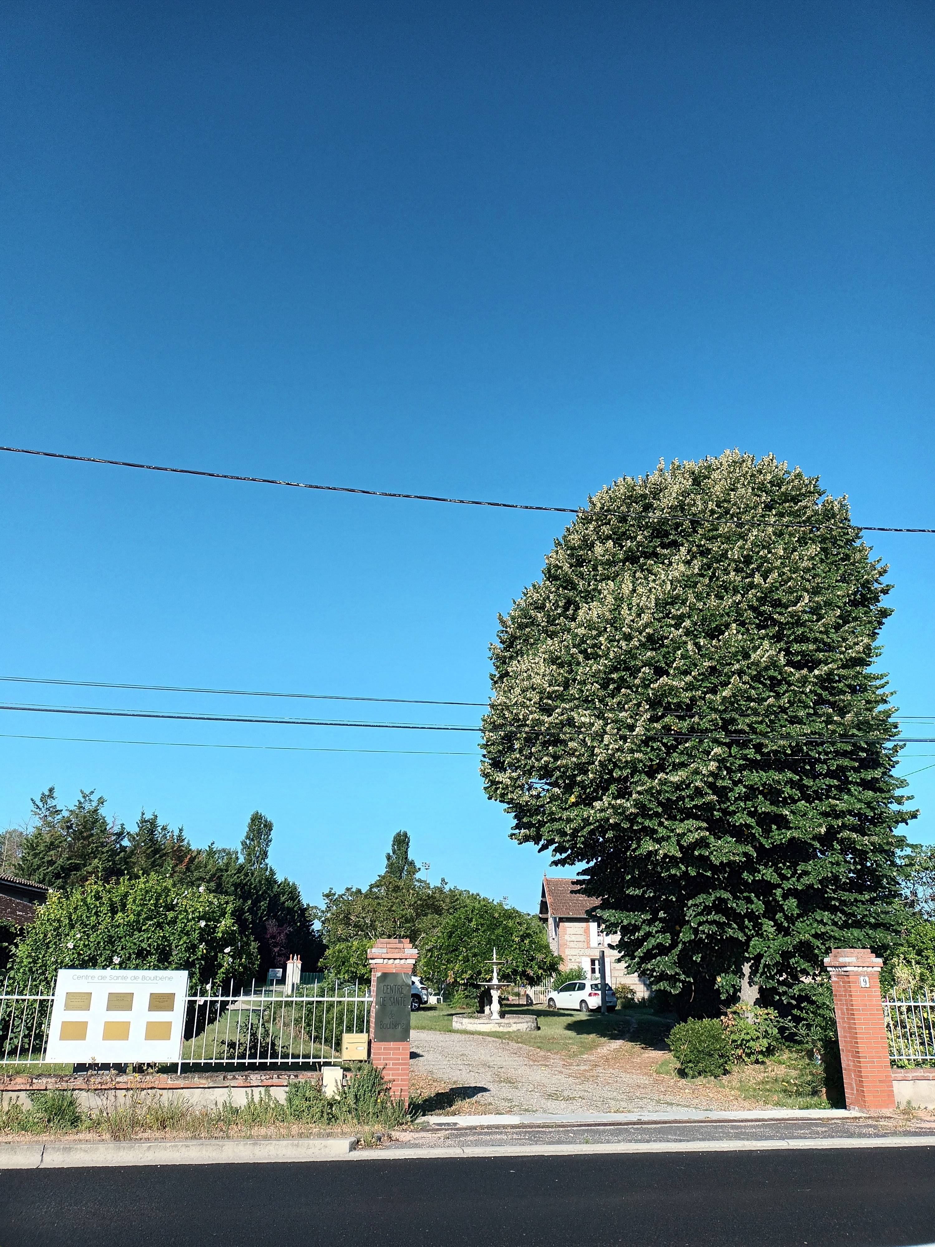 Cabinet Centre de santé à Auterive - Photo principale